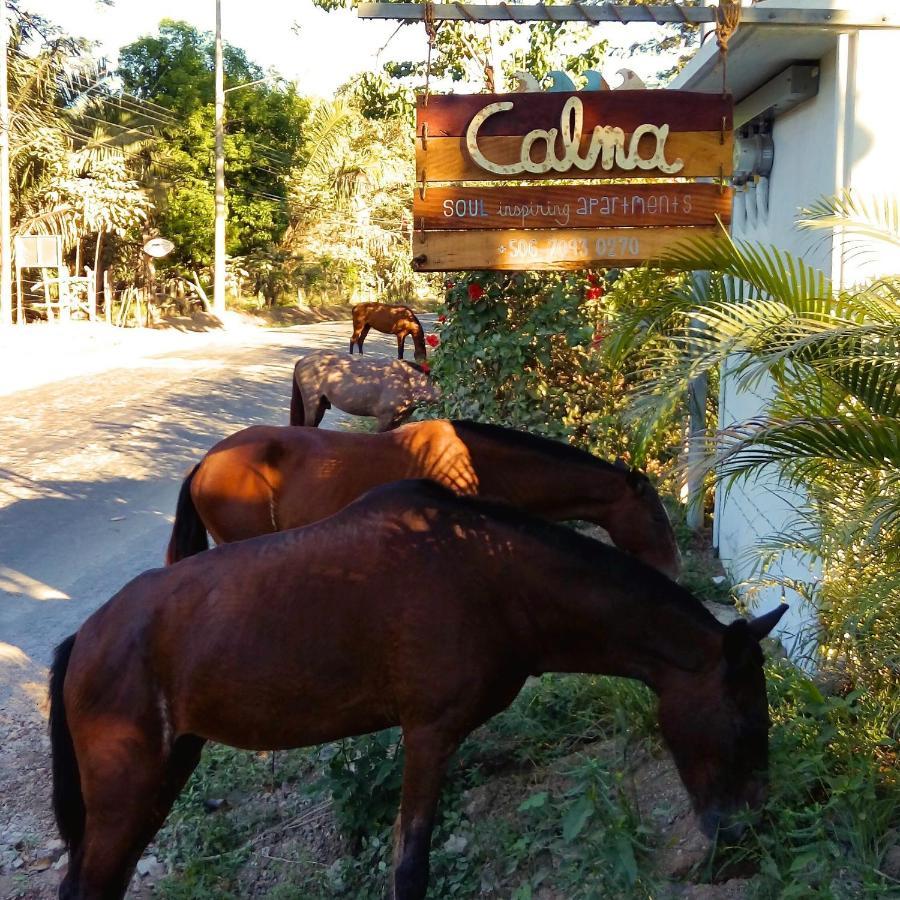 Calma Apartments Costa Rica Malpais Luaran gambar